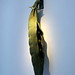 David Little Photo 34