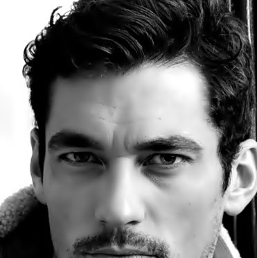 David Gandy Photo 14