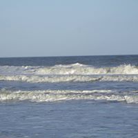 Jerry Wolfe Photo 28