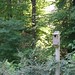 Janet Keever Photo 6
