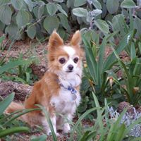 Kathy Jay Photo 9