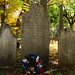 Elizabeth Dewitt Photo 16