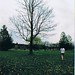 Sarah Hopkins Photo 29