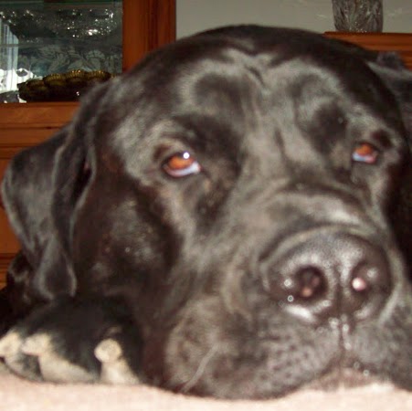 Debbie Hager Photo 15