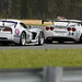Tony Gunter Photo 10