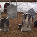 Ellen Weidner Photo 9