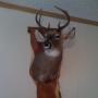 Michael Pruitt Photo 29
