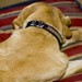 Anita Diggs Photo 8