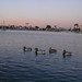 Teresa Mallard Photo 8