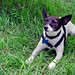 Willie Weems Photo 4