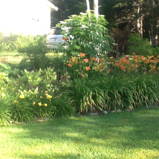 Judith Watson Photo 2