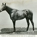 Marcus Root Photo 1