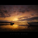 Dawn Click Photo 8