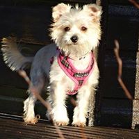 Linda Bamford Photo 20