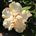 Myra Bloom Photo 7