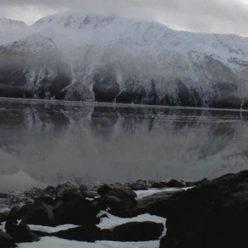 Terry Ward Photo 3