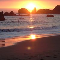 Vicki Spicer Photo 13