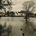 Norman Hanley Photo 2