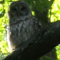 Samuel Kephart Photo 4