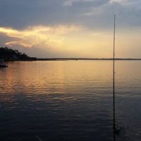 Ross Parrish Photo 19