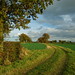 Gary Heath Photo 15