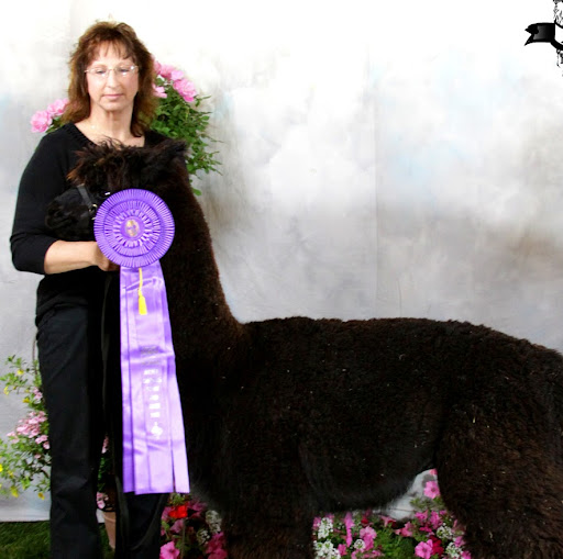 Nancy Schell Photo 16