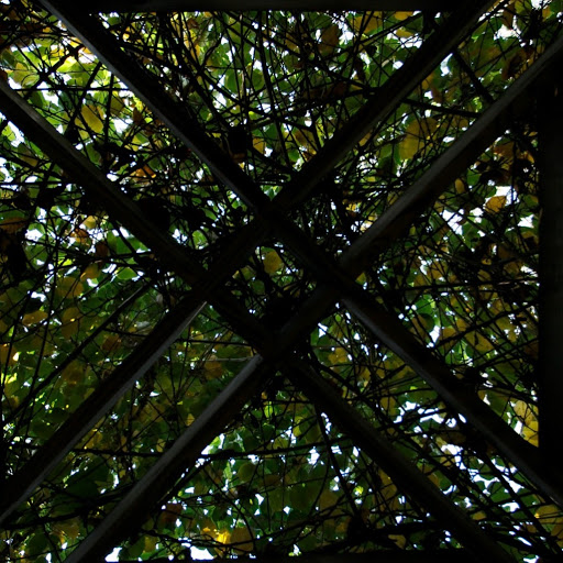Christopher Katz Photo 6