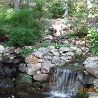 Ann Coffman Photo 23