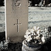 Kenneth Sanders Photo 16