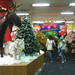 Marshall Schwartz Photo 36