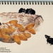 Kwong Ma Photo 4