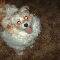 Clara Kennedy Photo 11
