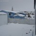 Ron Simons Photo 8