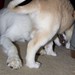 Ginger Foster Photo 21