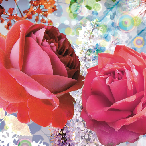 Anne Reynolds Photo 27