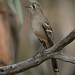 Robin Southern Photo 17