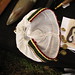Julie Martens Photo 9