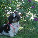 Mae Mills Photo 12