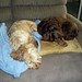 Frank Link Photo 20
