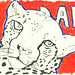 Dale Drew Photo 12