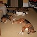 Burke Bailey Photo 7