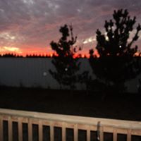 Dianne Murphy Photo 35