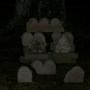 Steven Cook Photo 13