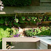 Celeste Hubbard Photo 12