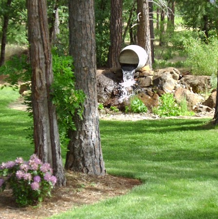 Nancy Henley Photo 7