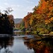 Steven Hecker Photo 18