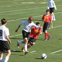 Steven Haines Photo 26