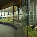 David Hassell Photo 34