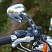 Harley Webster Photo 10