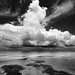 Robert Salgado Photo 18